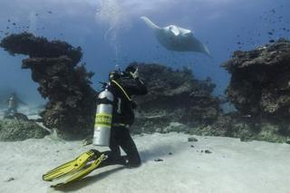 Lady Elliot Island Eco Resort 外观 照片